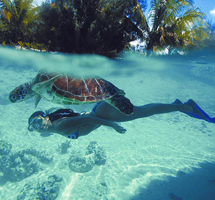 Seychellen duiken